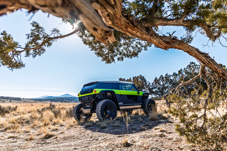 Brawley parked in dry grassland beneath a juniper